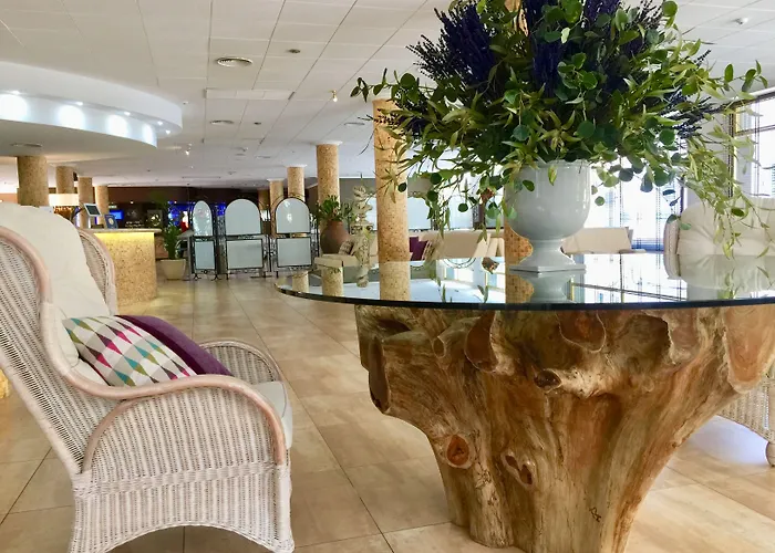 Miami Park كاليليا